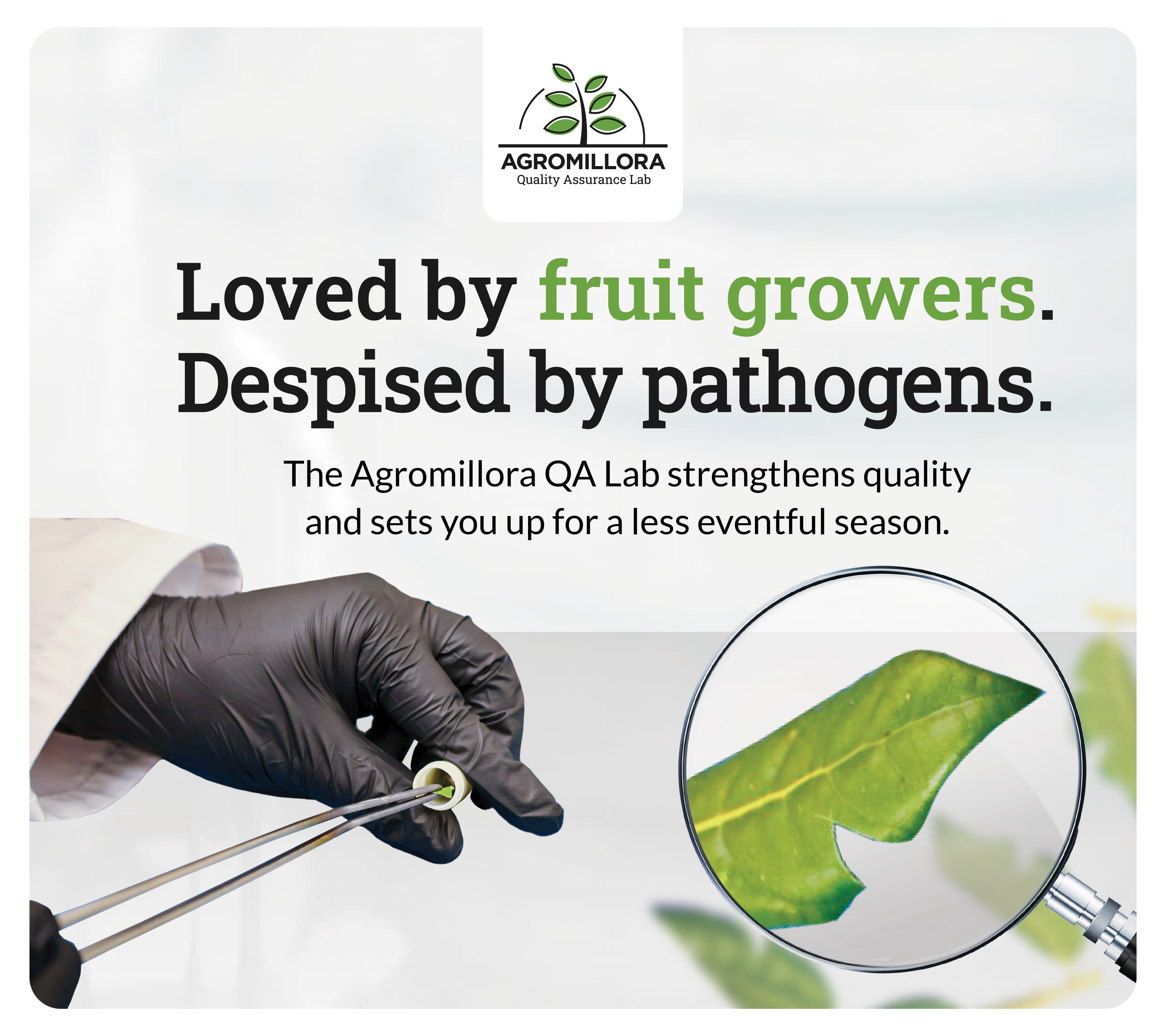 Agromillora Quality Assurance Testing