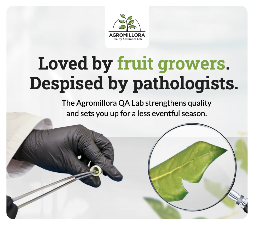 Agromillora Quality Assurance Testing