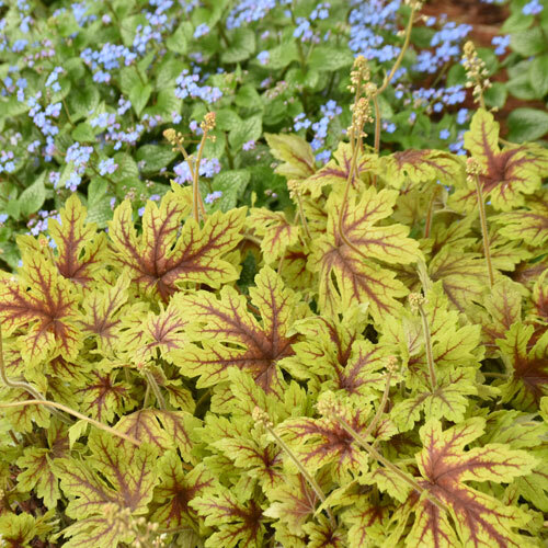 Fun and Games® Capture the Flag Foamy Bells