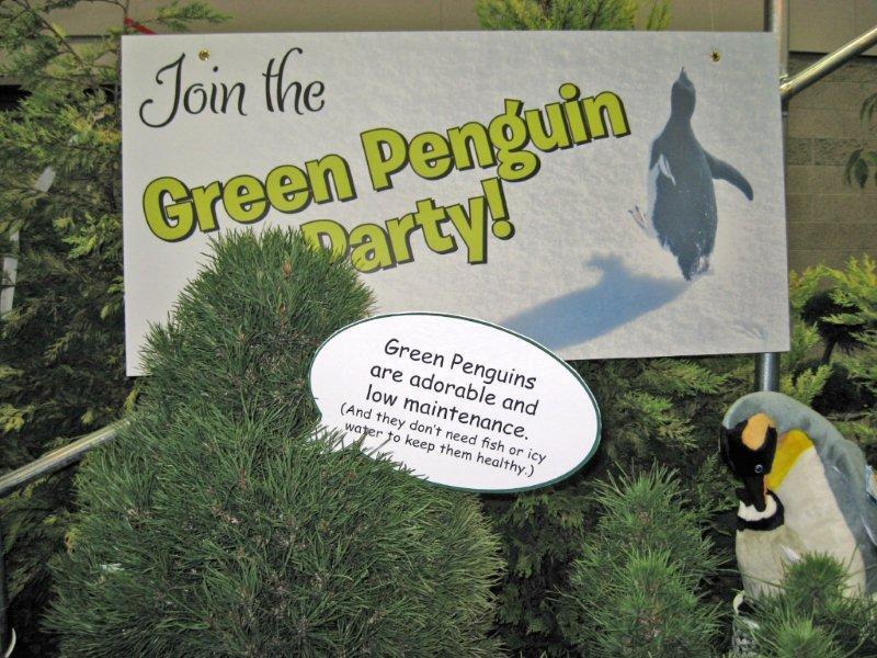 Pinus sylvestris 'Green Penguin'